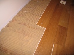 Imm16-1.JPG